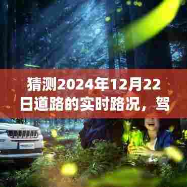 驾驭未来之路，2024年12月22日路况预测与成长展望的自信之路。
