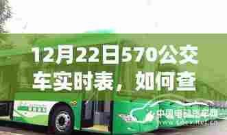 12月22日570公交车实时表查询步骤详解