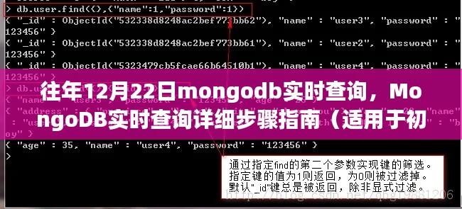 MongoDB实时查询详细指南，从入门到进阶的步骤解析