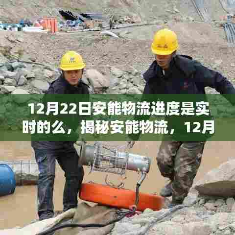 揭秘安能物流,12月22日实时物流进度全面追踪与解析