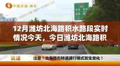 潍坊北海路积水路段今日实时状况深度解析与评测