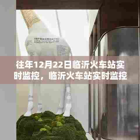 临沂火车站实时监控系统，科技重塑出行体验，历年12月22日监控实录