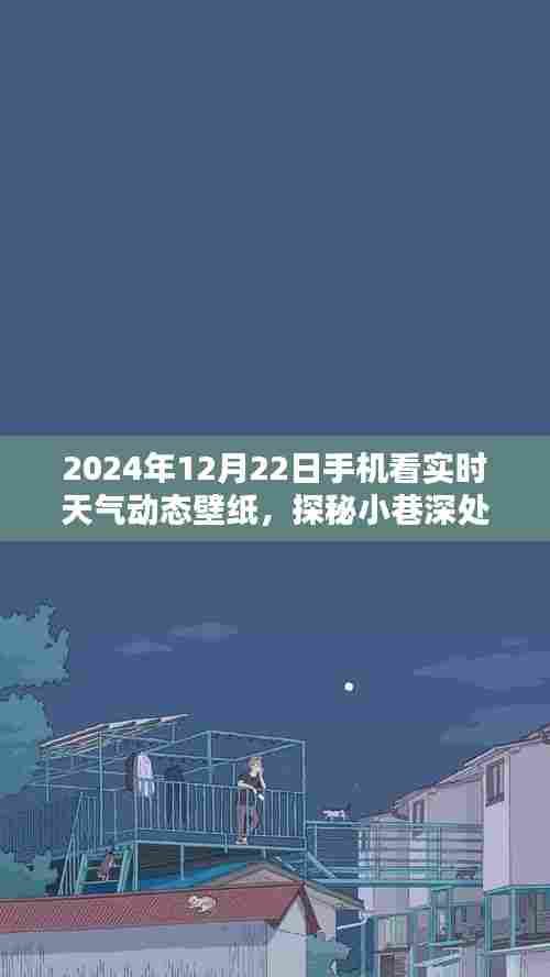 时光之韵，探索实时天气动态壁纸的秘境，2024年12月22日手机天气预报动态壁纸探秘小巷深处天气秘境