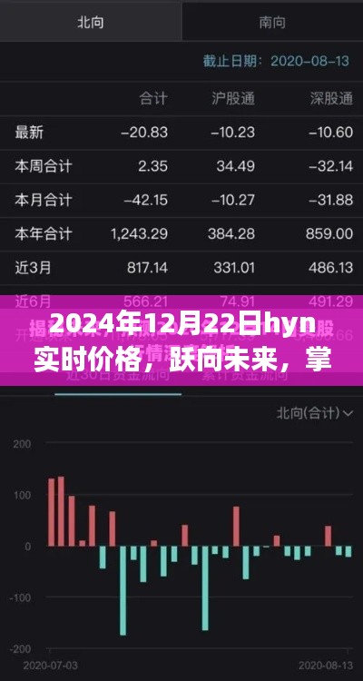 建议,跃向未来,掌握变化,探索2024年12月22日hyn实时价格的启示