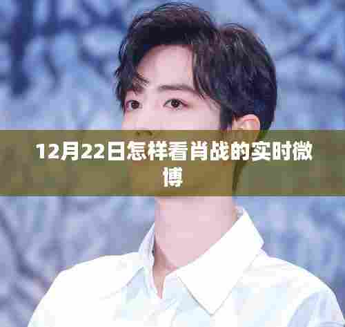 肖战12月22日实时微博观看指南