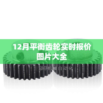 12月平衡齿轮实时报价，最新图片汇总