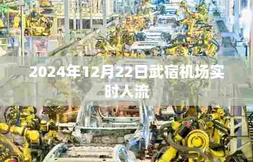 武宿机场实时人流信息（XXXX年XX月XX日）