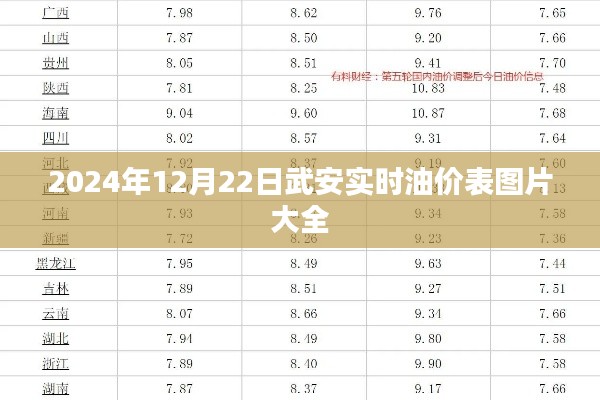 武安油价表实时更新,最新油价图片大全