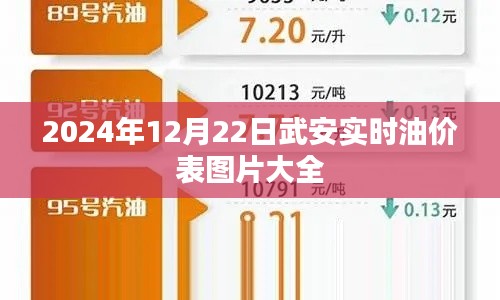 武安油价表实时更新,最新油价图片大全