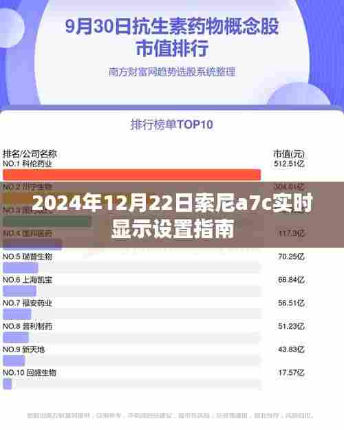 索尼a7c实时显示设置指南(详细教程,适用于2024年)