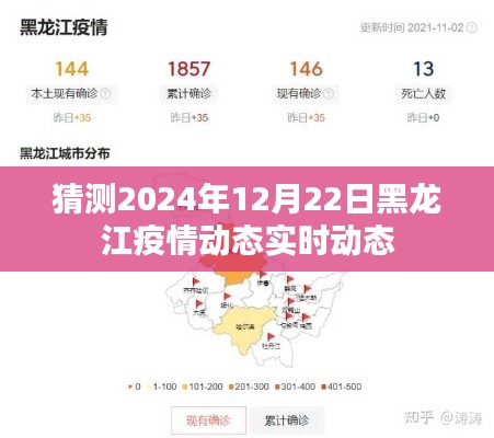 黑龙江疫情动态预测,2024年12月22日最新趋势分析
