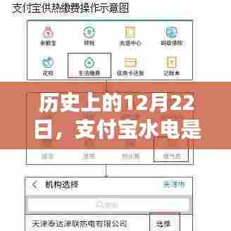 支付宝水电缴费实时情况解析，历史回顾与今日状态