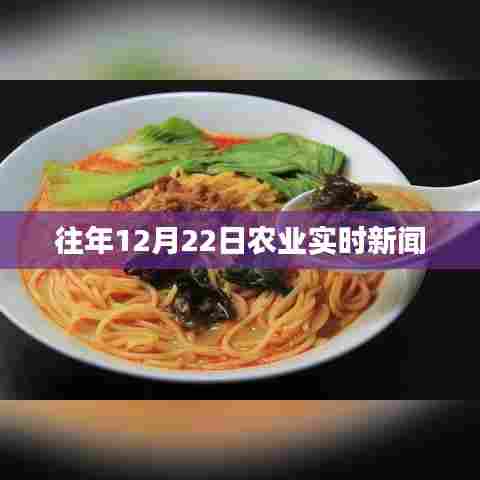 农业最新动态，历年十二月二十二日要闻速递
