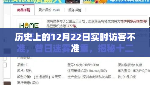 历史12月22日实时访客数据不准,揭秘背后的原因