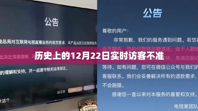 历史12月22日实时访客数据不准,揭秘背后的原因