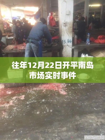 开平南岛市场实时动态,历年12月22日活动纪实