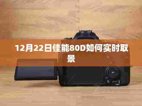 善始善终 第5页