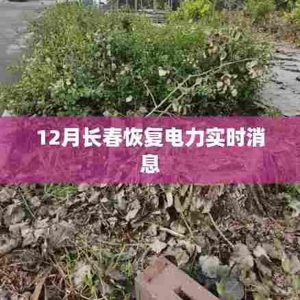 长春恢复电力供应最新消息,实时更新