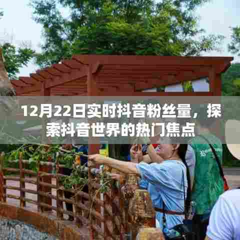 12月22日抖音粉丝实时数据，探索抖音热门焦点