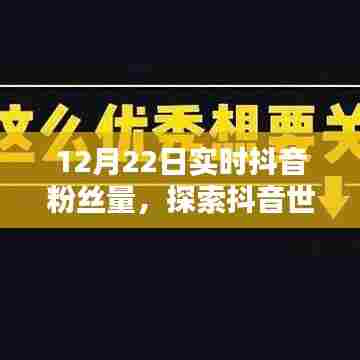 12月22日抖音粉丝实时数据,探索抖音热门焦点