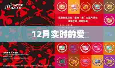 实时爱的绽放，12月温馨时刻