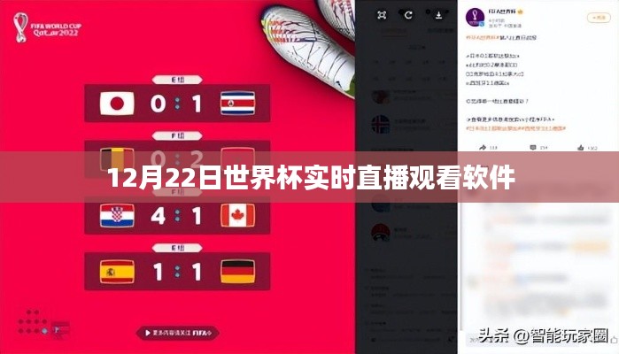世界杯直播软件,实时观看赛事,尽在掌握