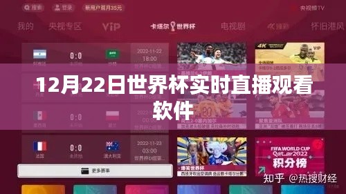 世界杯直播软件,实时观看赛事,尽在掌握