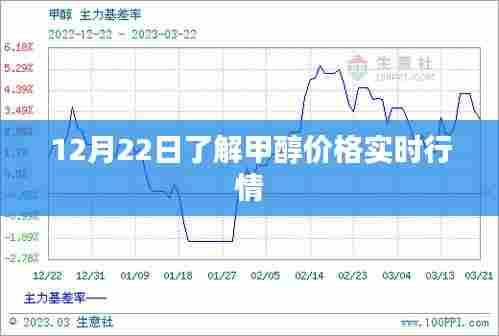 甲醇价格实时行情解析，最新市场动态（日期标注）