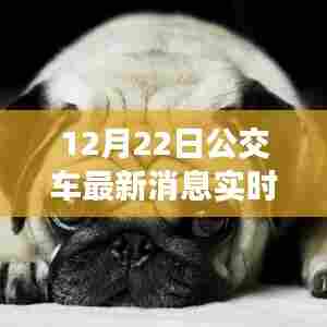 12月22日公交最新动态实时更新查询