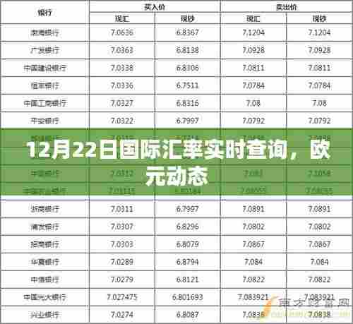 12月22日国际汇率实时查询，欧元汇率动态更新