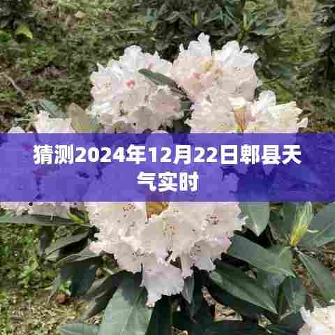 郫县天气预报，预测2024年12月22日天气实时更新
