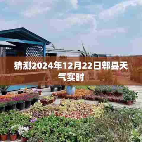 郫县天气预报,预测2024年12月22日天气实时更新