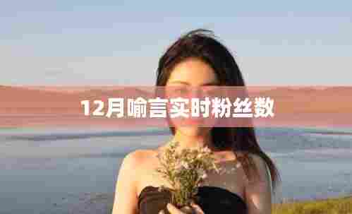 喻言12月实时粉丝数统计