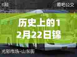 锦州虎跃公交实时查询系统,历史日期下的出行信息