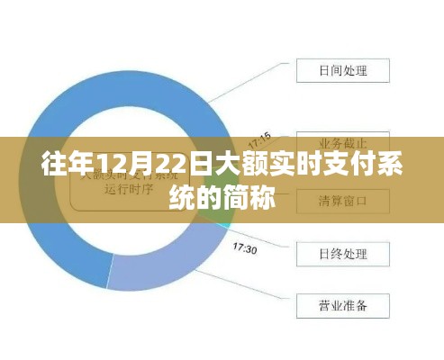 大额实时支付系统简称介绍,12月22日实时支付系统详解