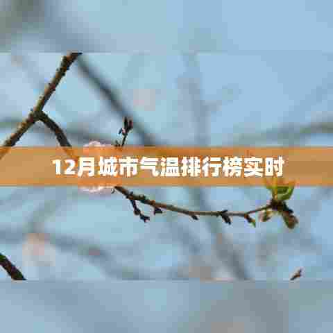 城市气温排行榜实时更新