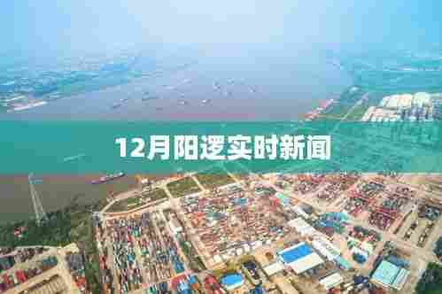 阳逻最新实时新闻报道，12月时事动态