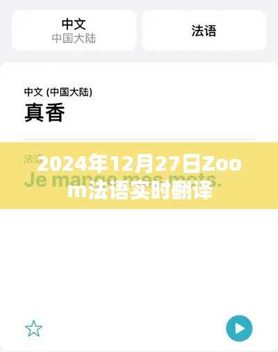 Zoom法语实时翻译，语言沟通的桥梁，助力全球交流无障碍