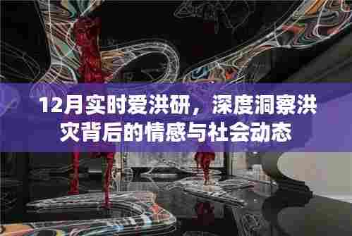 洪灾背后的情感与社会动态，深度洞察与实时关注