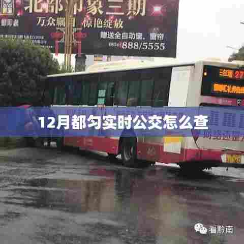 都匀实时公交查询指南,12月出行必备