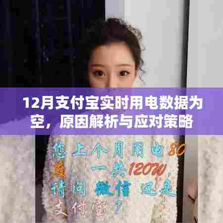 支付宝实时用电数据为空，原因解析及应对方案