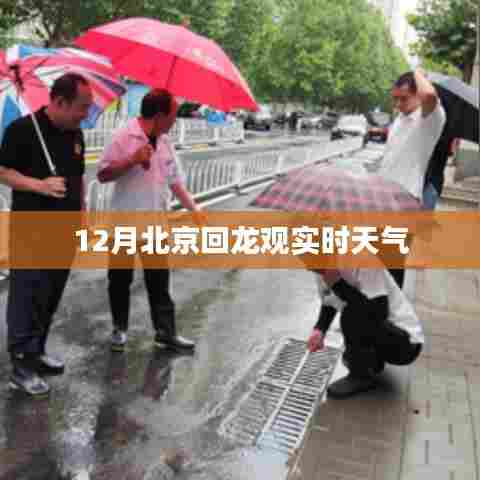 北京回龙观天气预报实时查询
