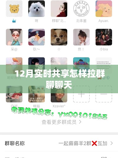 12月实时群聊共享，如何拉群聊天新姿势