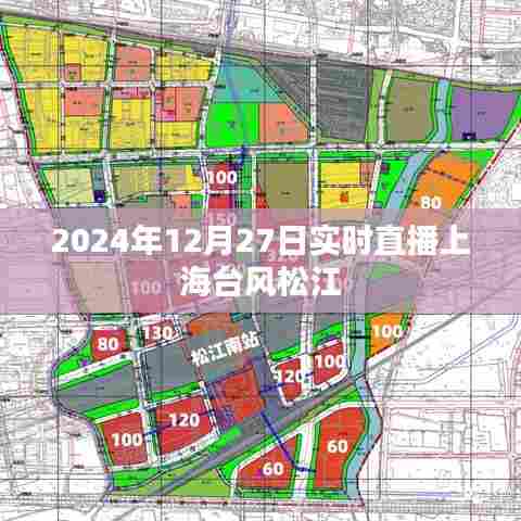 上海台风松江直播报道，直击台风动态