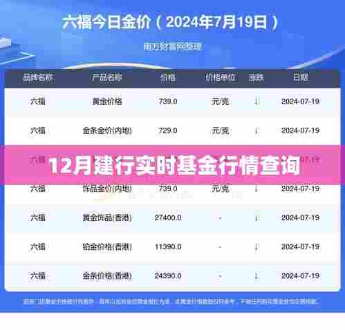 建行实时基金行情12月查询报告