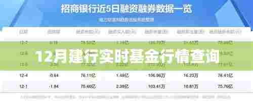 建行实时基金行情12月查询报告