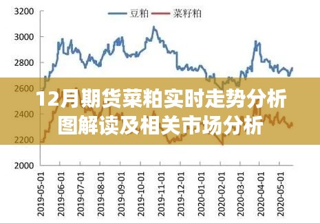 期货菜粕走势解读，最新市场分析及实时走势图解析