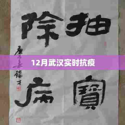 武汉实时抗疫进展关注