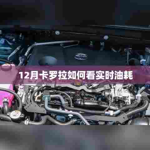 卡罗拉实时油耗查看指南