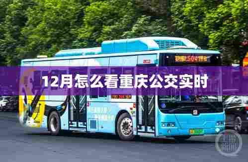 重庆公交实时查询指南，12月出行必备